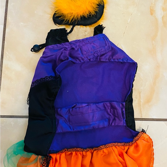 Pet dog witch Halloween costume - Picture 2 of 3